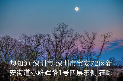 想知道 深圳市 深圳市寶安72區(qū)新安街道辦群輝路1號四層?xùn)|側(cè) 在哪