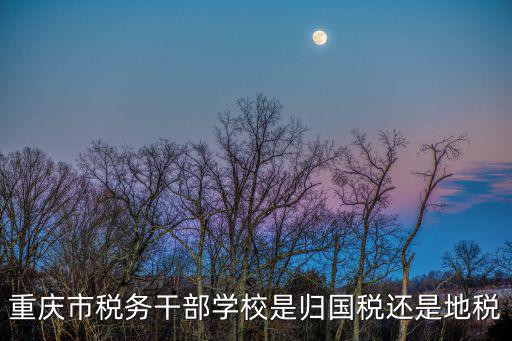 重慶市稅務干部學校是歸國稅還是地稅