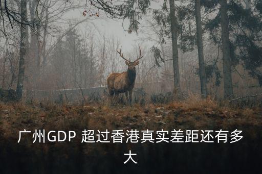 廣州 2013 gdp，2013年廣州人均GDP是多少