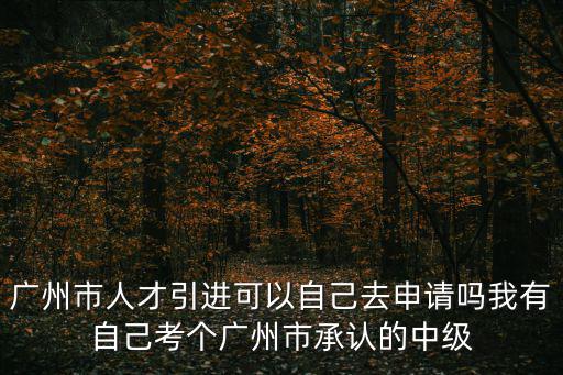 廣州市人才引進可以自己去申請嗎我有自己考個廣州市承認的中級