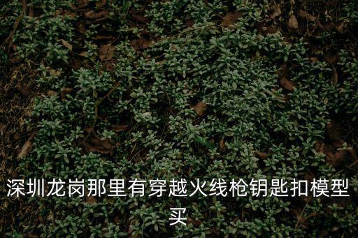 深圳龍崗那里有穿越火線槍鑰匙扣模型買
