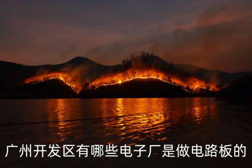 廣州開發區有哪些電子廠是做電路板的