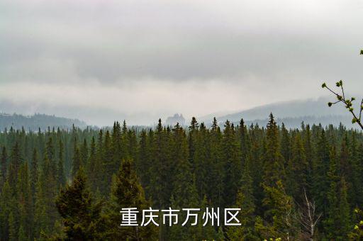 重慶市萬州區區委宣部，重慶市萬州區