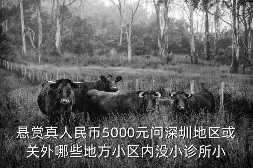 深圳愜意小廚，房子很小在深圳這寸土寸金的地方只有60多平米怎么無毒裝修好