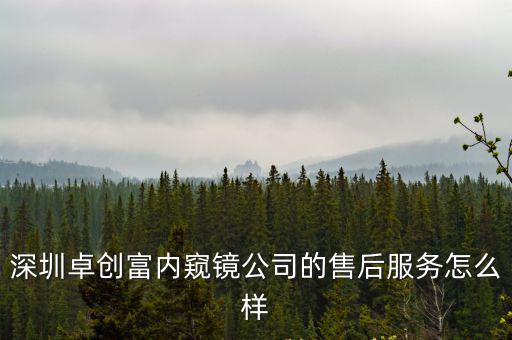深圳卓創(chuàng)富內(nèi)窺鏡公司的售后服務怎么樣