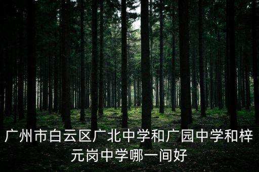 廣州市白云區(qū)廣北中學(xué)和廣園中學(xué)和梓元崗中學(xué)哪一間好