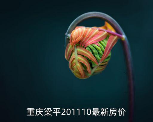 重慶梁平201110最新房價