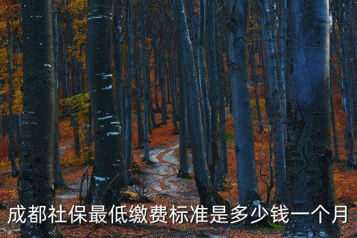 成都市社保最低檔的是多少錢，成都社保最低繳費標準是多少