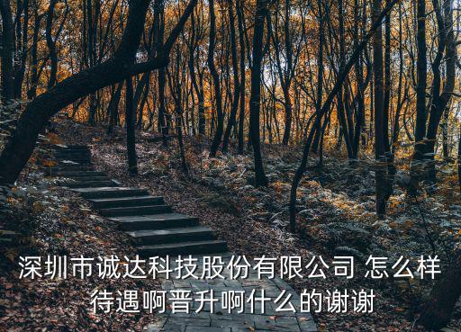 深圳市誠達科技股份有限公司 怎么樣 待遇啊晉升啊什么的謝謝