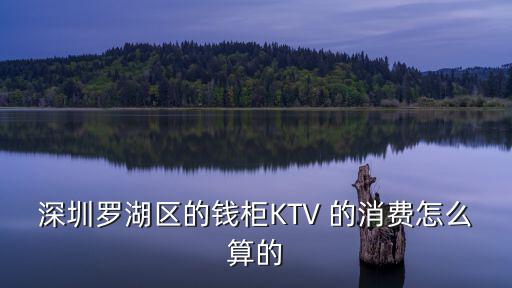 深圳羅湖區的錢柜KTV 的消費怎么算的