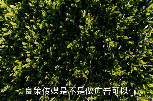 良策傳媒是不是做廣告可以