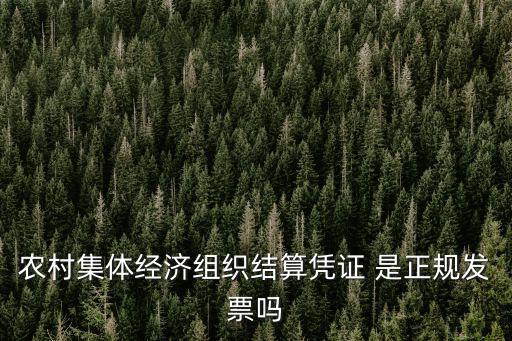 農村集體經濟組織結算憑證 是正規發票嗎