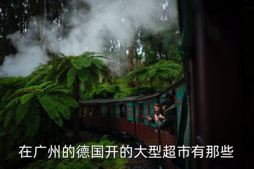 在廣州的德國開的大型超市有那些