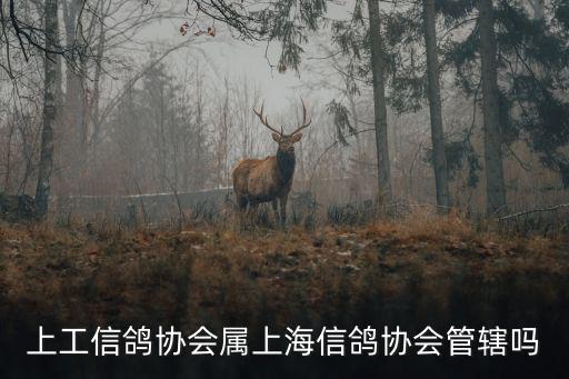 上海市信鴿協(xié)會(huì)網(wǎng)，怎么樣查詢上海信鴿足環(huán)號(hào)
