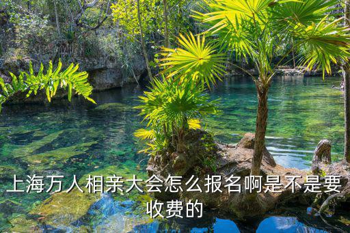 上海萬人相親大會怎么報名啊是不是要收費(fèi)的