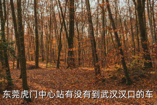 東莞虎門中心站有沒有到武漢漢口的車