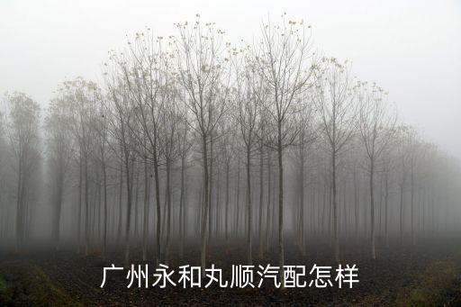 廣州永和丸順汽配怎樣