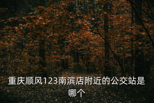 重慶順風(fēng)123南濱店附近的公交站是哪個(gè)