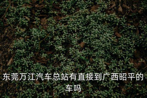 東莞萬江汽車總站有直接到廣西昭平的車嗎
