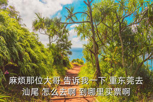 麻煩那位大哥 告訴我一下 重東莞去汕尾 怎么去啊 到哪里買票啊