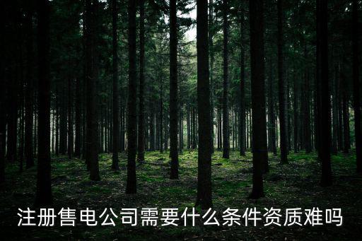 注冊售電公司需要什么條件資質難嗎