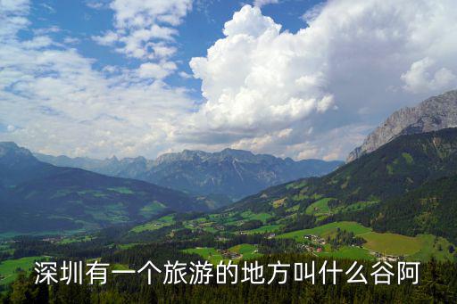 深圳有一個旅游的地方叫什么谷阿