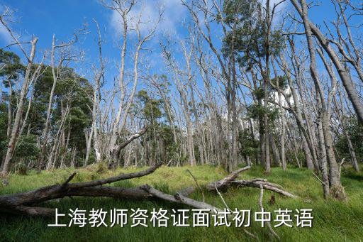 上海市教師資格考試面試，在上?？贾行W和幼兒園教師資格考試面試要不要考彈鋼琴的