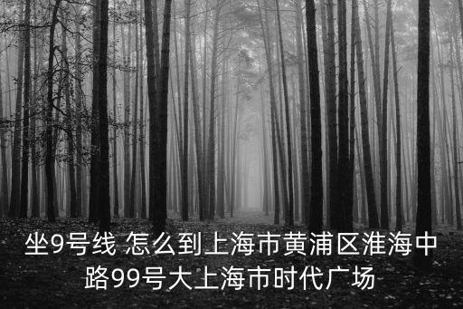 坐9號線 怎么到上海市黃浦區淮海中路99號大上海市時代廣場