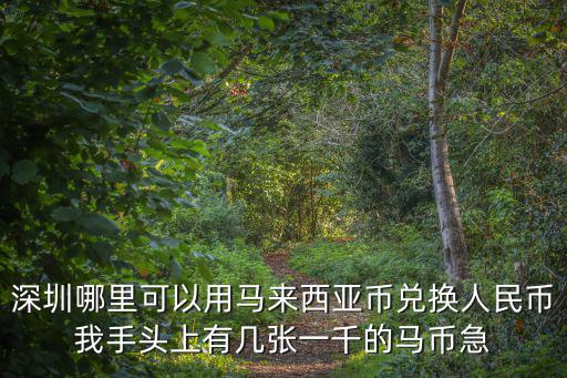 深圳市大馬化，深圳哪里可以用馬來西亞幣兌換人民幣我手頭上有幾張一千的馬幣急