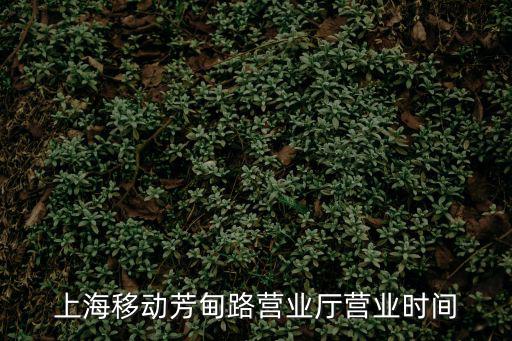上海移動芳甸路營業廳營業時間