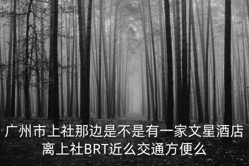 廣州荷光路文星，廣州市上社那邊是不是有一家文星酒店離上社BRT近么交通方便么