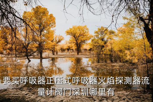 深圳市邦富興工業(yè)設(shè)備有限公司，要買呼吸器正壓式呼吸器火焰探測器流量計(jì)閥門深圳哪里有