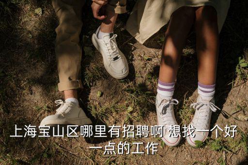 上海寶山區(qū)哪里有招聘啊 想找一個好一點的工作