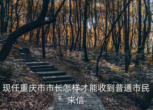 重慶市書記領異舉報信箱，給重慶市委書記寫信他可以看見嗎
