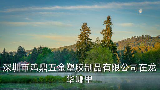 深圳市鴻鼎五金塑膠制品有限公司在龍華哪里