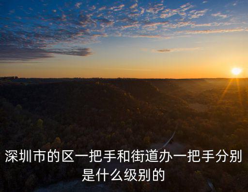 深圳市的區一把手和街道辦一把手分別是什么級別的