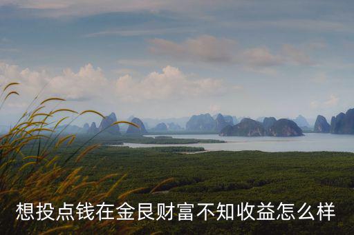 想投點錢在金艮財富不知收益怎么樣