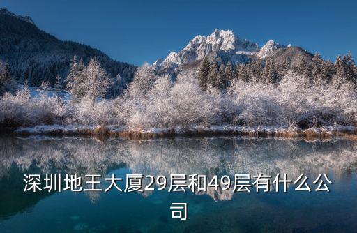 深圳地王大廈29層和49層有什么公司