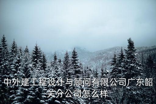 中外建工程設計與顧問有限公司廣東韶關分公司怎么樣