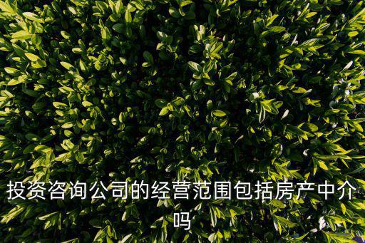 投資咨詢公司的經(jīng)營范圍包括房產(chǎn)中介嗎