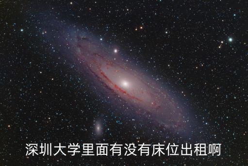 深圳大學里面有沒有床位出租啊