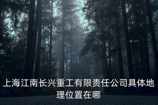 上海市長興衛星地圖，上海江南長興重工有限責任公司具體地理位置在哪