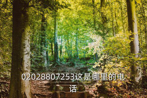 02028807253這是哪里的電話