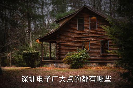 深圳電子廠大點的都有哪些