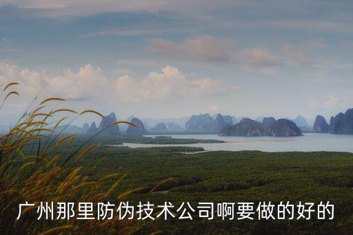 廣州那里防偽技術公司啊要做的好的