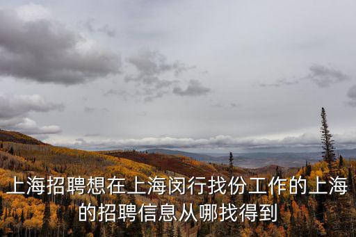 上海市崇明區(qū)人才網(wǎng)，上海崇明經(jīng)濟(jì)城