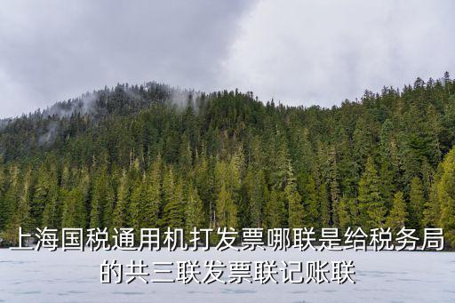 上海市地稅局過(guò)劍飛，上海國(guó)稅通用機(jī)打發(fā)票哪聯(lián)是給稅務(wù)局的共三聯(lián)發(fā)票聯(lián)記賬聯(lián)