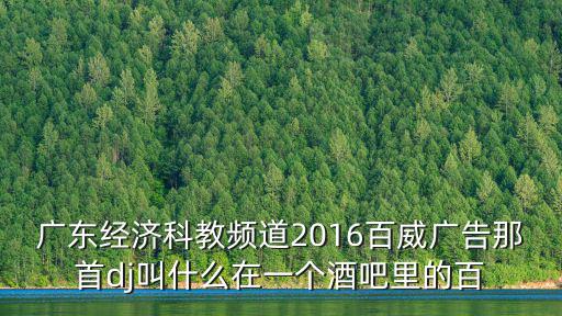 廣東經濟科教頻道2016百威廣告那首dj叫什么在一個酒吧里的百