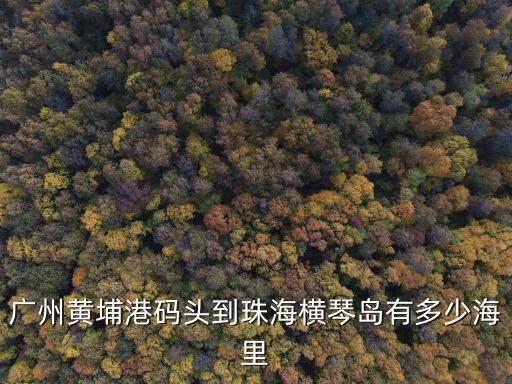 廣州黃埔港碼頭到珠海橫琴島有多少海里
