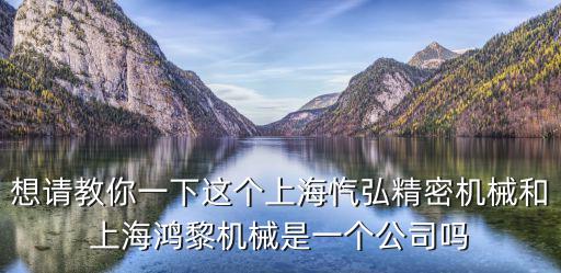 想請教你一下這個上海愾弘精密機械和上海鴻黎機械是一個公司嗎